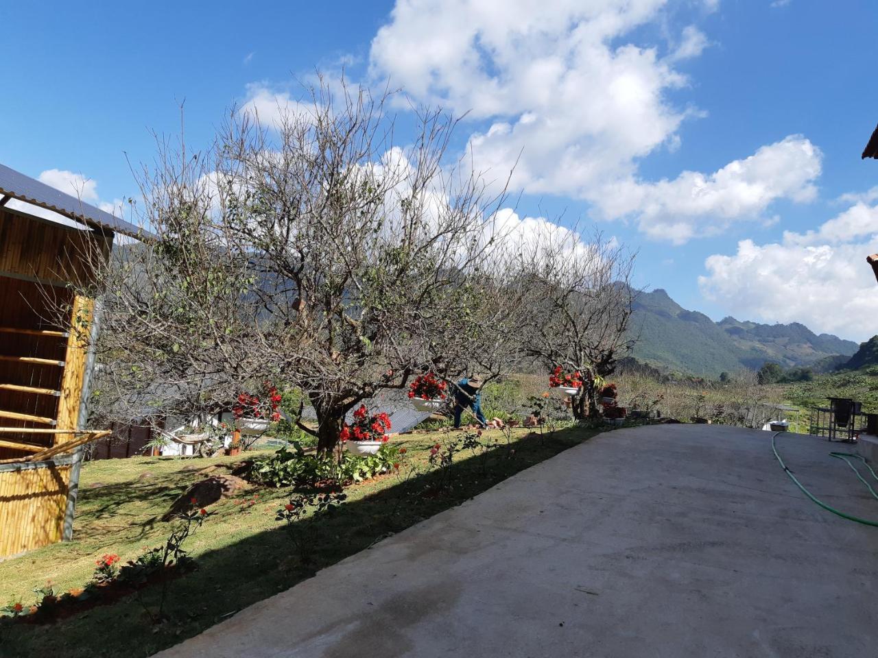 Eco House Moc Chau Bed & Breakfast Exterior photo